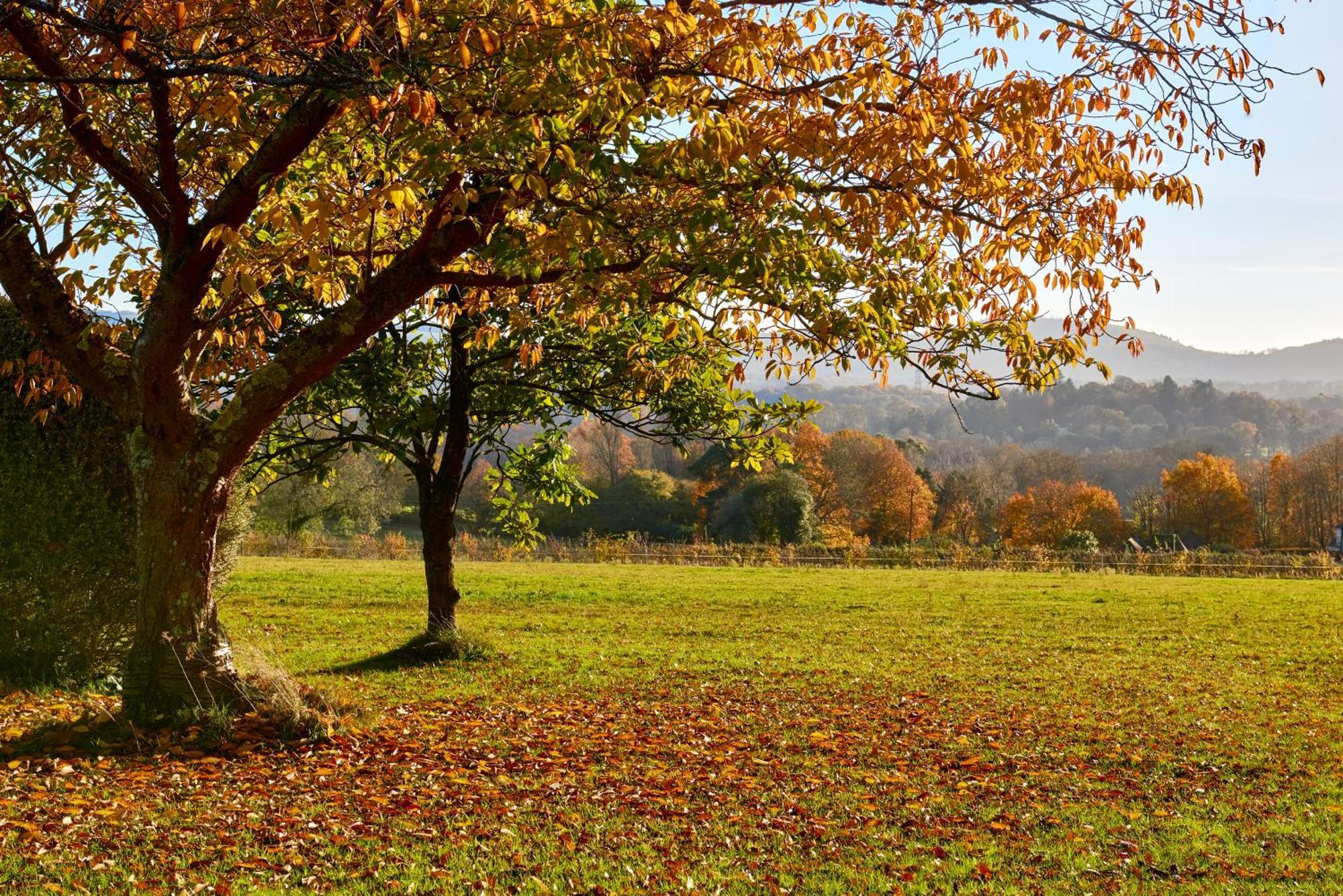 Stunning Cabin With Incredible Views Near Goodwood Rogate 외부 사진
