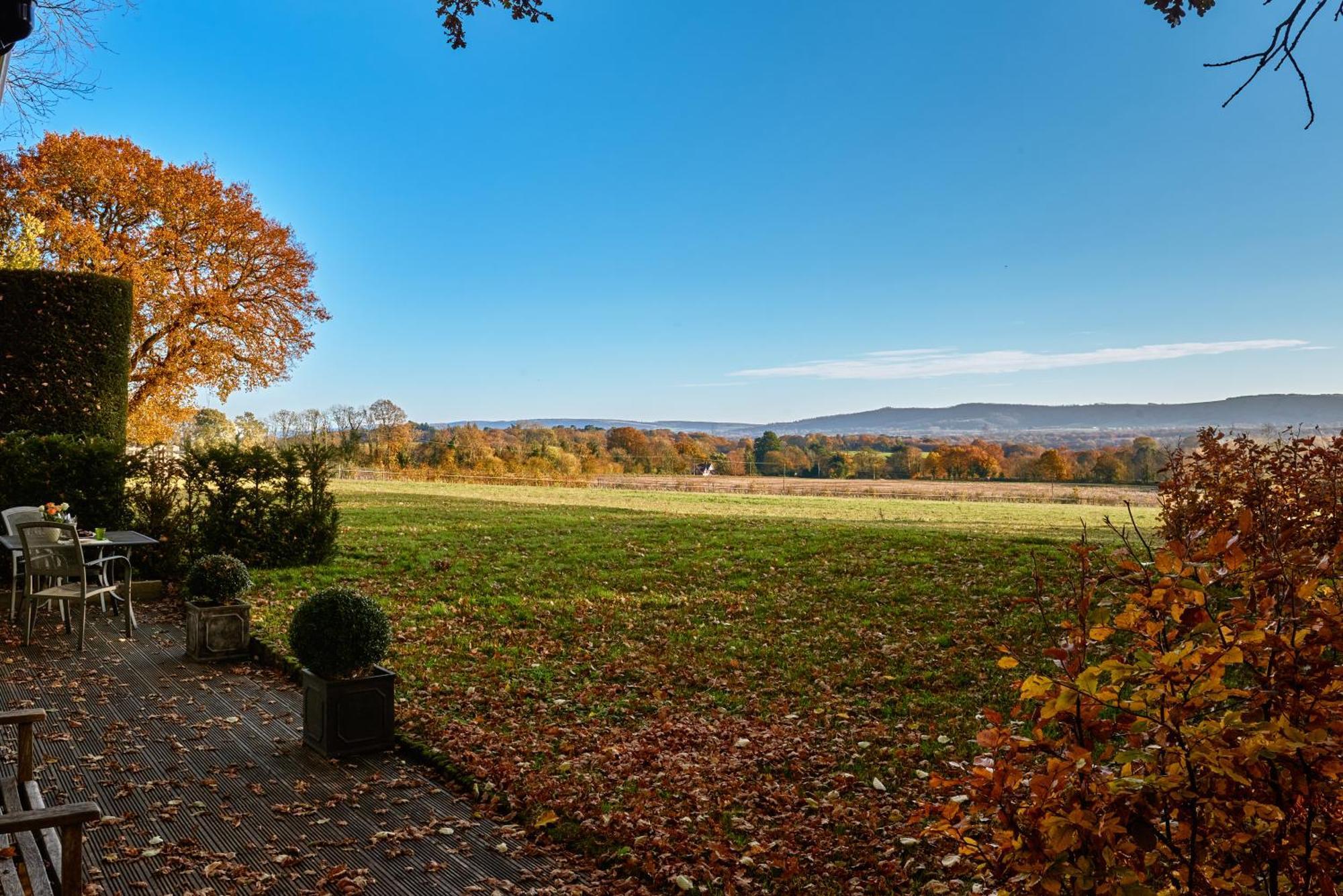 Stunning Cabin With Incredible Views Near Goodwood Rogate 외부 사진