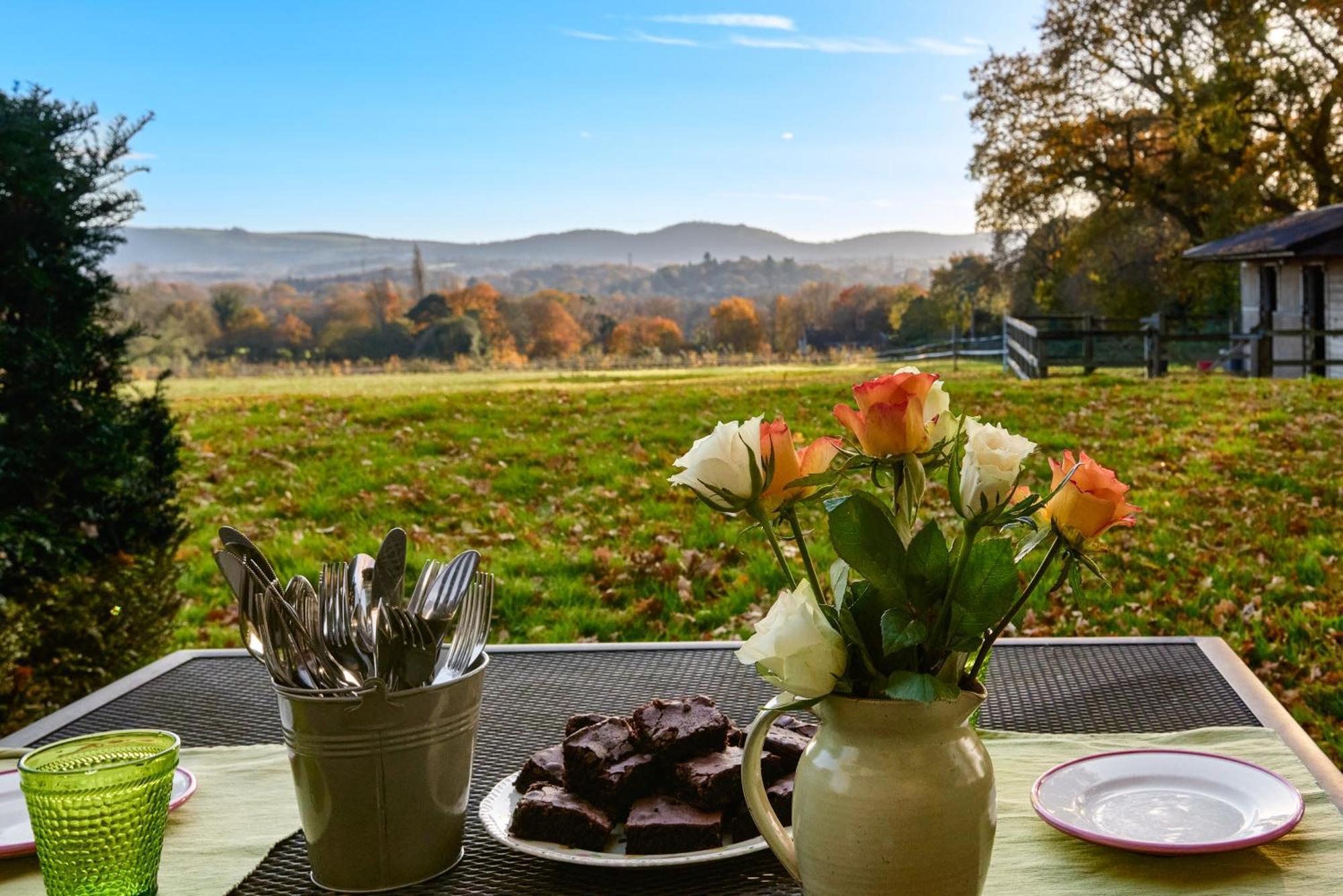 Stunning Cabin With Incredible Views Near Goodwood Rogate 외부 사진